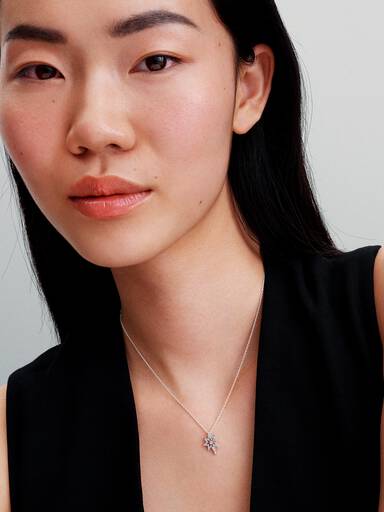 Halsband med glittrande polstjärna