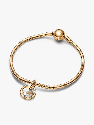 Stjärntecken Skorpionen Armband Set