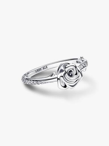 Ring Rose in Bloom