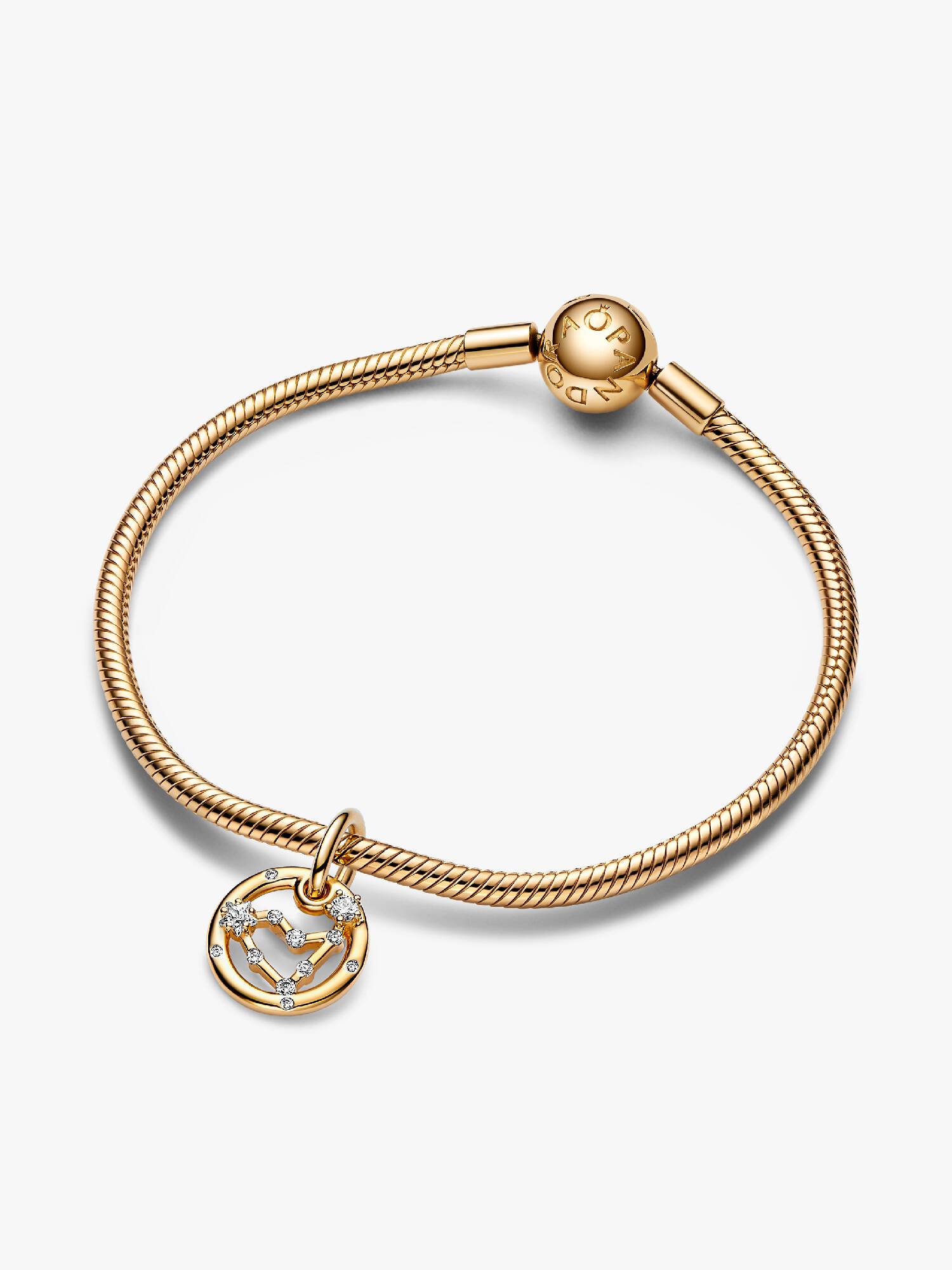 Stjärntecken Stenbocken Armband Set