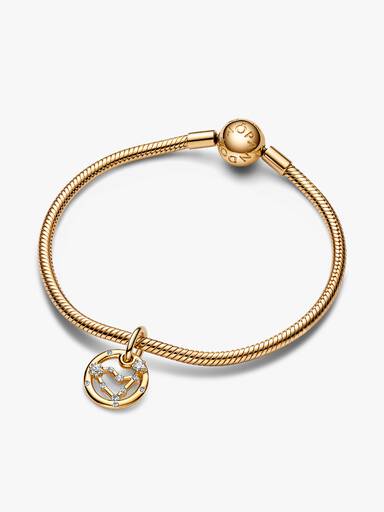 Stjärntecken Stenbocken Armband Set