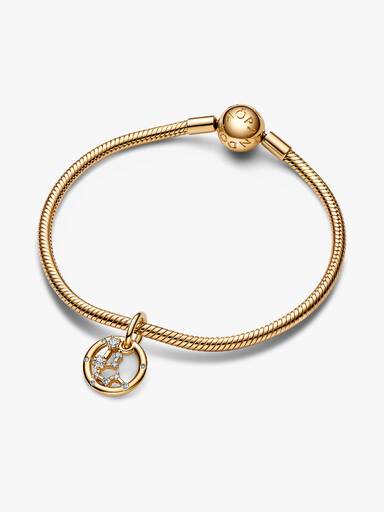 Aquarius Zodiac hängberlock