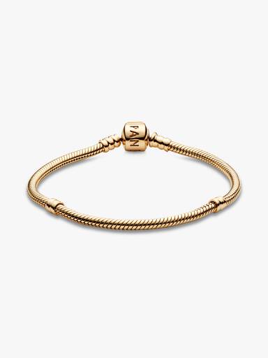 Pandora Moments Ormkedjearmband