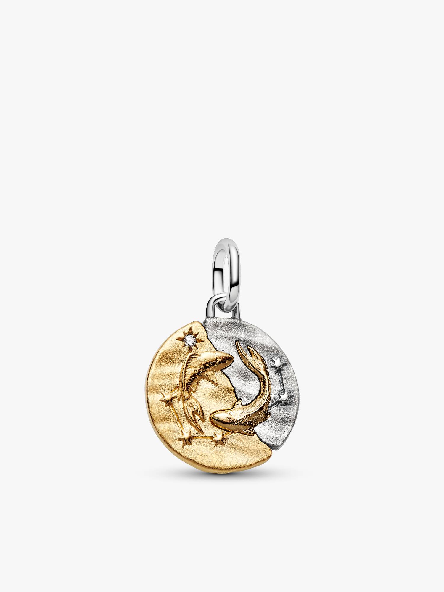 Fiskarna medaljongberlock
