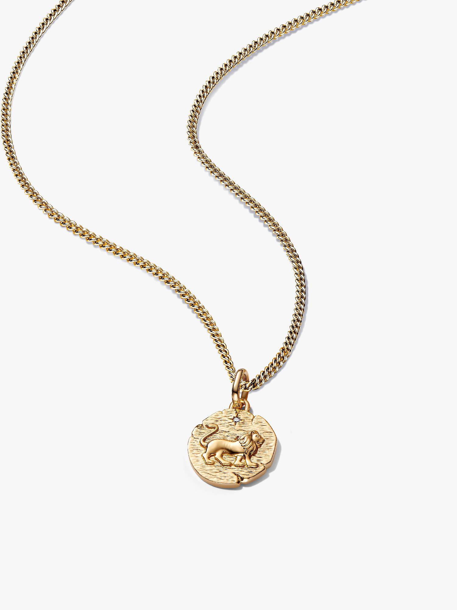 Halsbandset med lejon medaljongberlocker