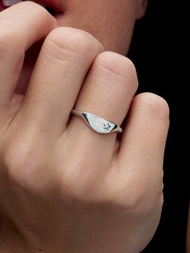 Pandora ME signetring med emalj