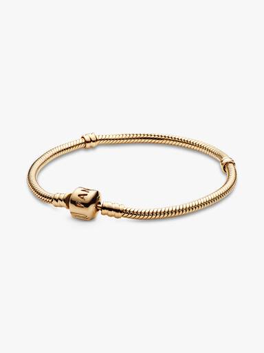 Pandora Moments Ormkedjearmband