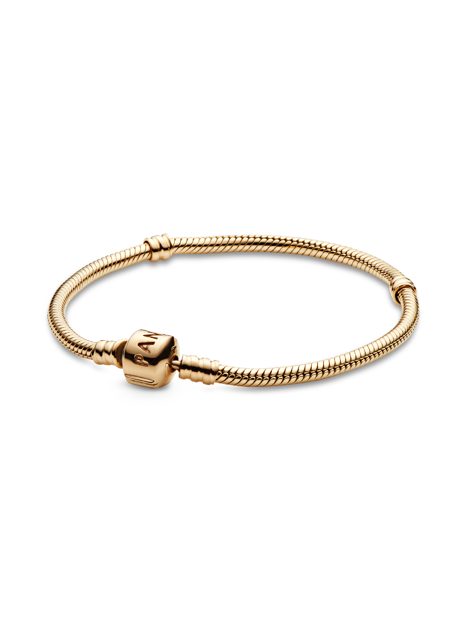 Pandora Moments Ormkedjearmband