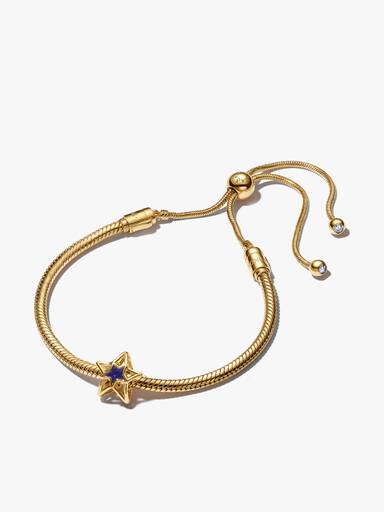 Guldpläterat Stjärn- och Justerbart Armbandsset