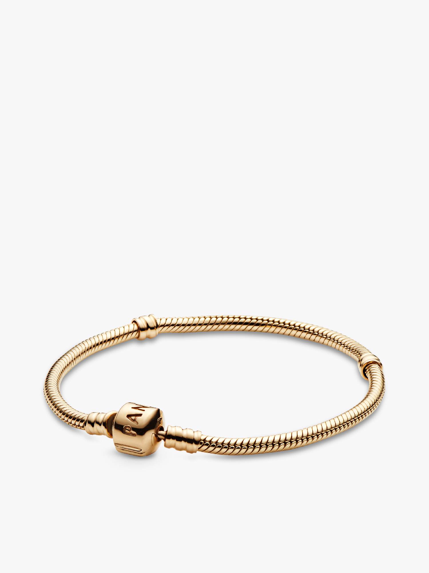 Pandora Moments Ormkedjearmband