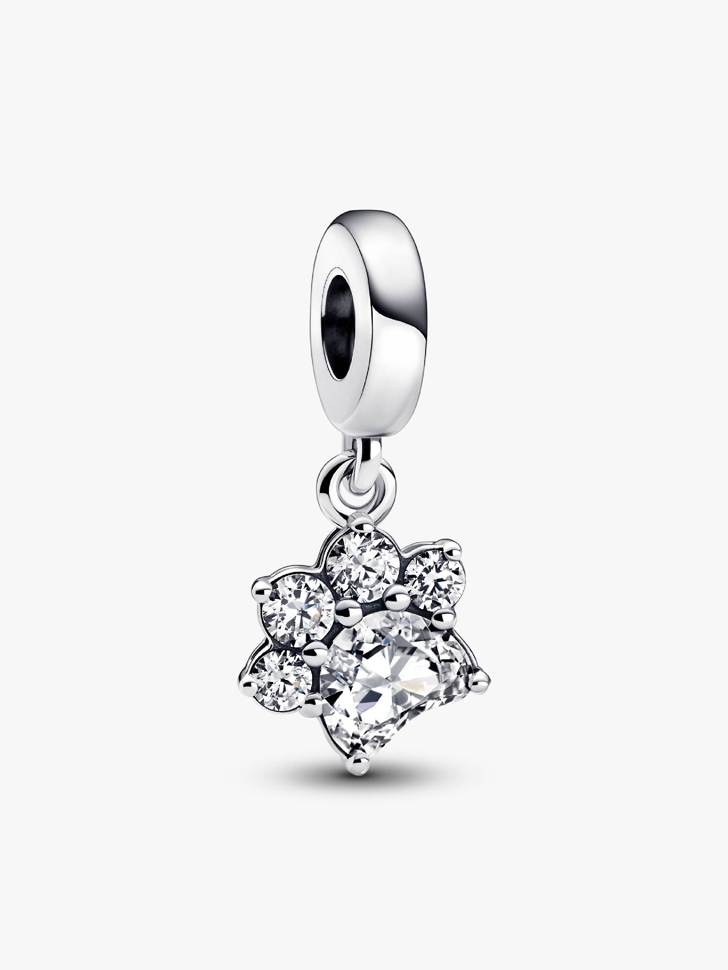 Sparkling Pet Paw Print Dangle Charm