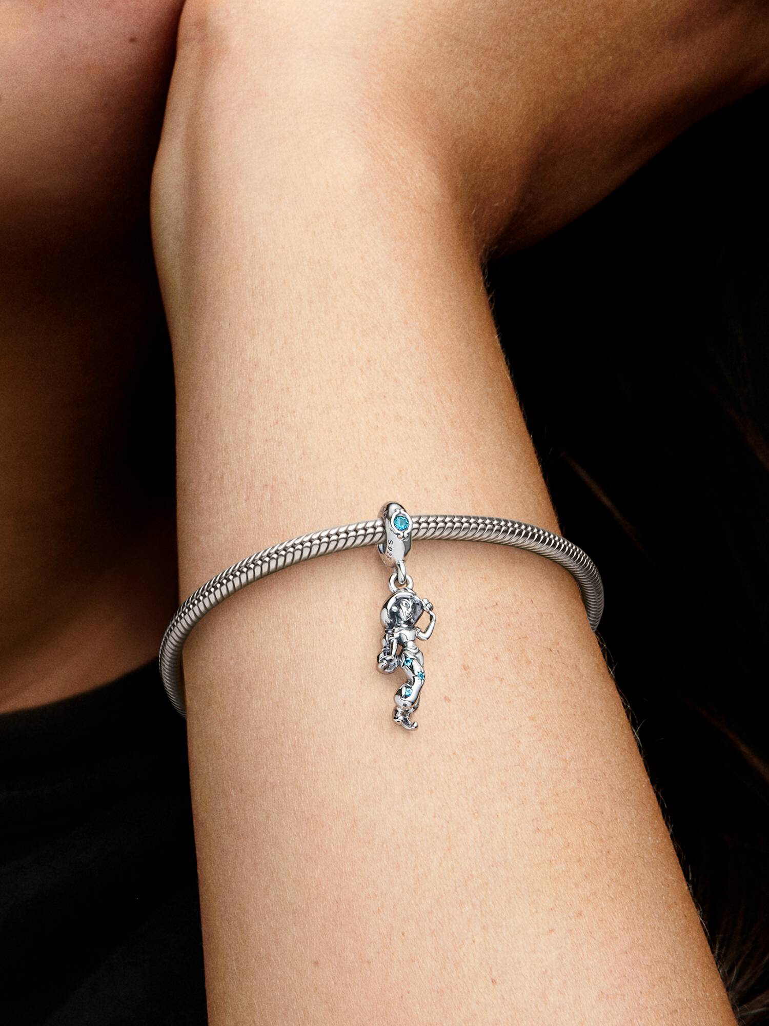 Disney Aladdin Princess Jasmine Dangle Charm