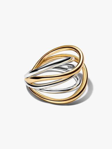 Tvåfärgad sammanflätad ring