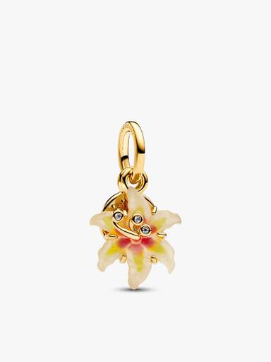 Disney Tangled Charms Set