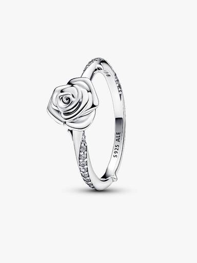 Ring Rose in Bloom