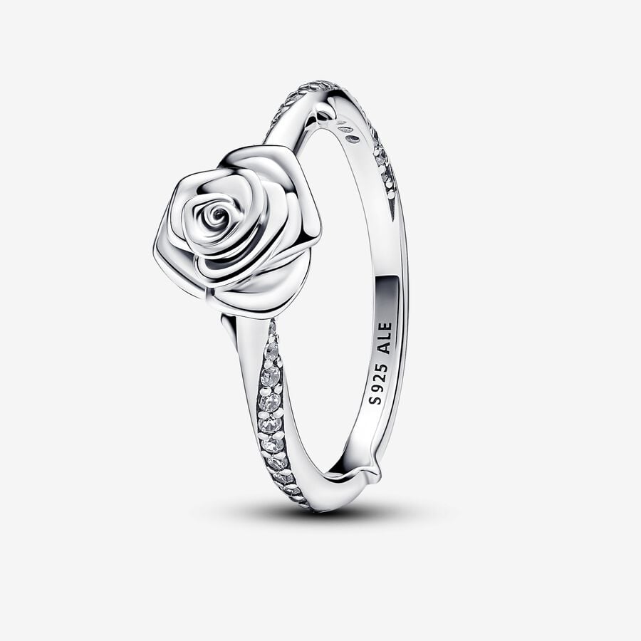 Ring Rose in Bloom image number 0