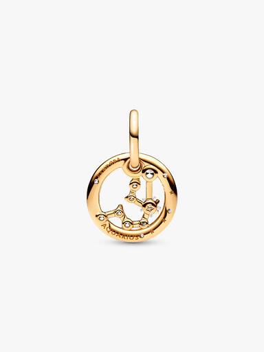 Aquarius Zodiac hängberlock