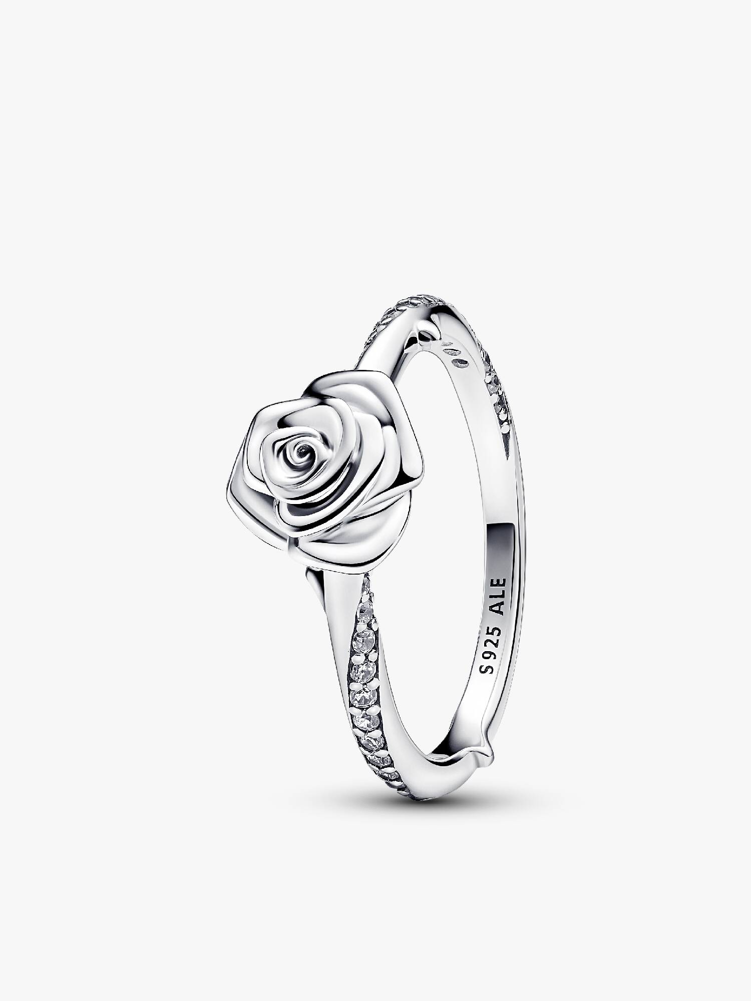 Ring Rose in Bloom